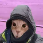 matthewonthego