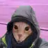 matthewonthego